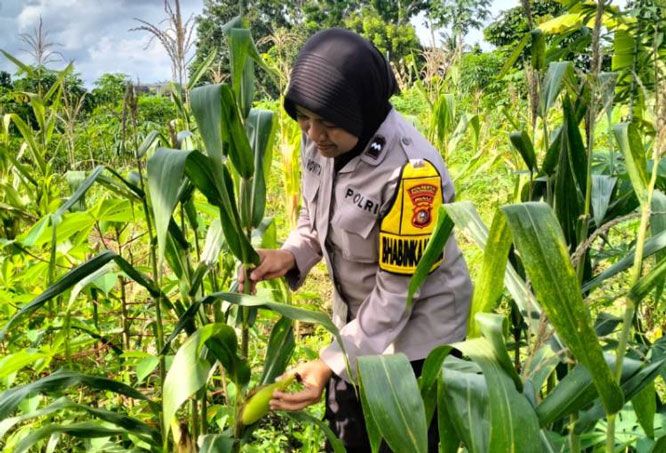 Dukung Ketahanan Pangan, Bhabinkamtibmas di Pekanbaru Ajak Warga Manfaatkan Lahan Pekarangan